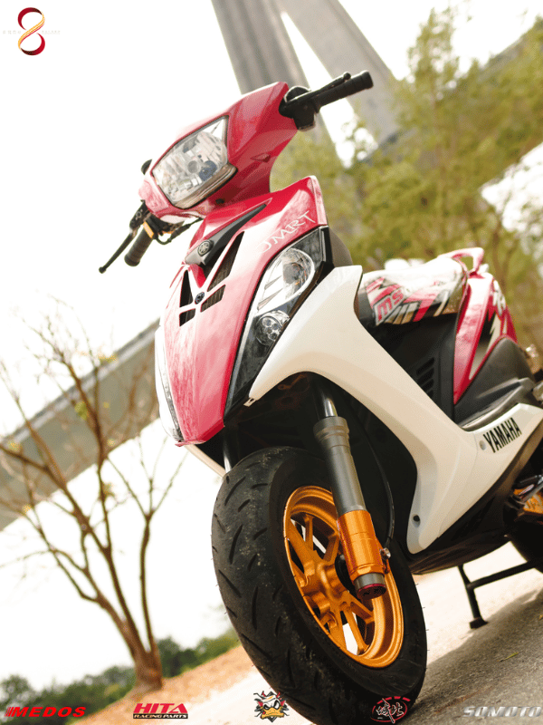 RSZ 車頭特寫與鯊魚工廠 T28 前叉